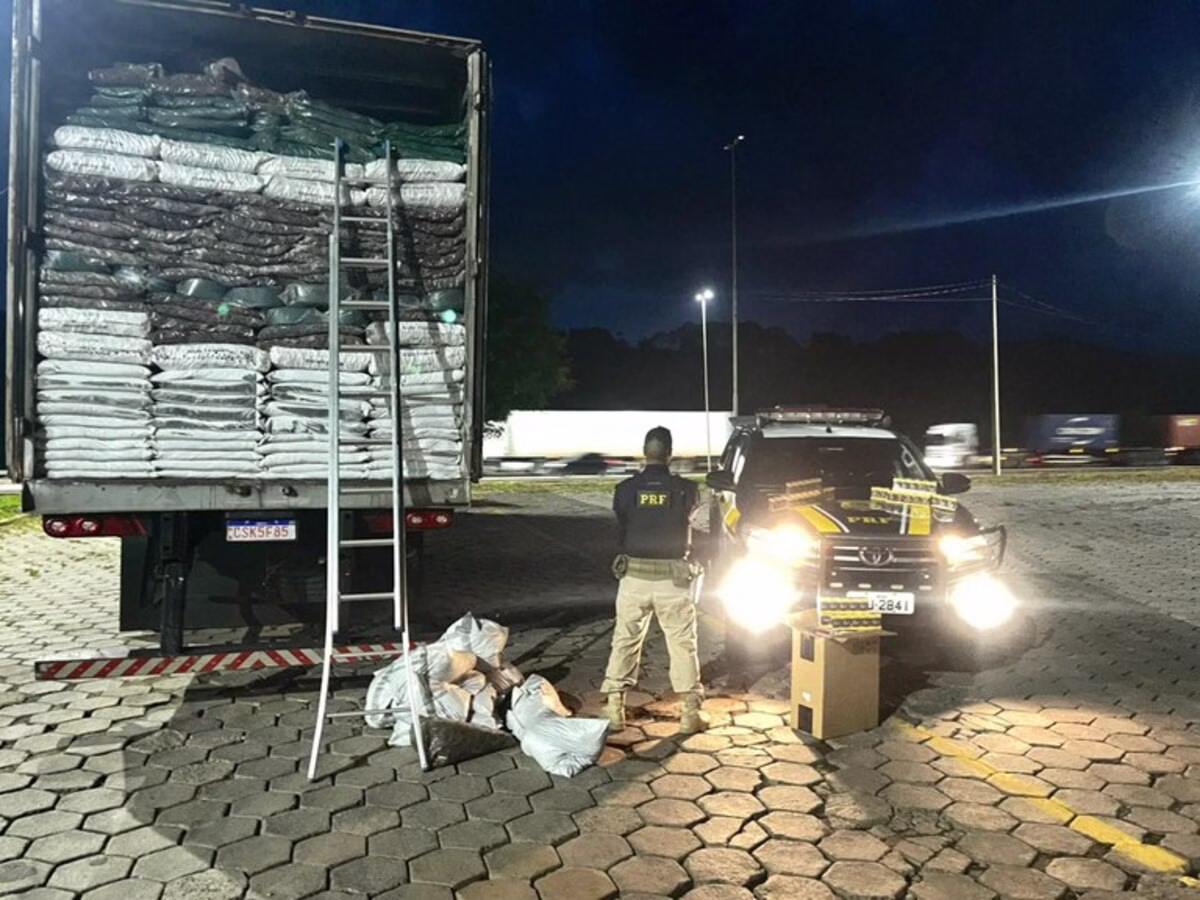 Abordagens nas BRs 116 e 381 apreendem mais de 1 milhão de cigarros em MG