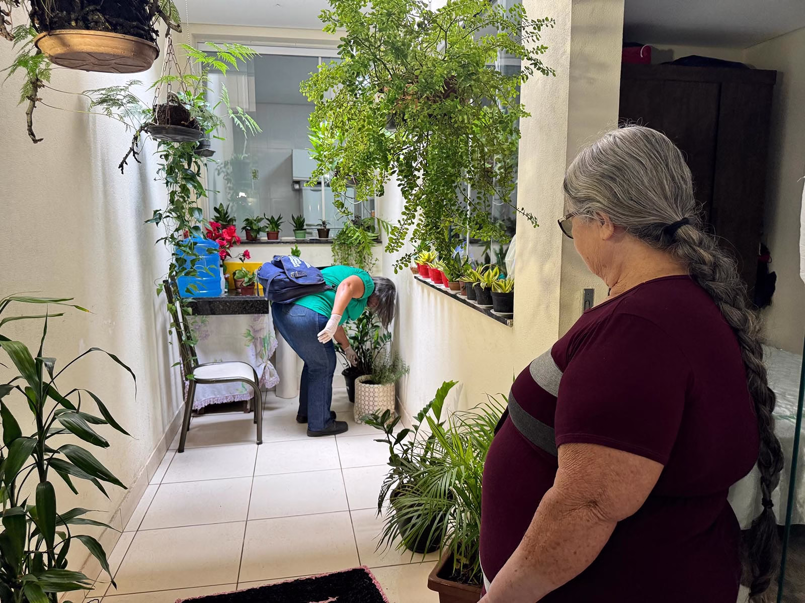 Secretaria de Saúde de Ipatinga divulga resultado do primeiro LIRAa de 2025