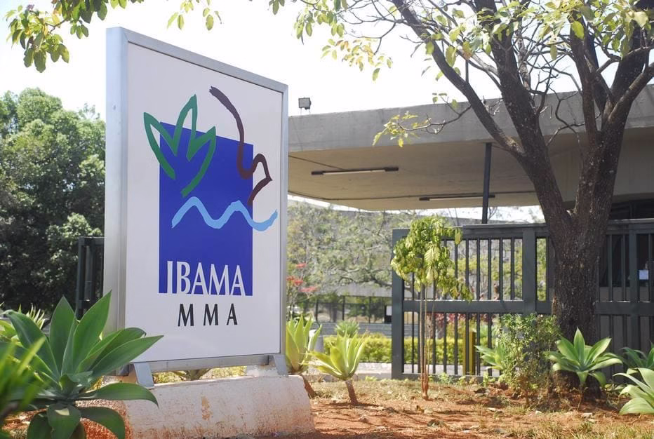 Ibama publica edital de concurso para 460 vagas e salários de até R$9.8 mil; veja