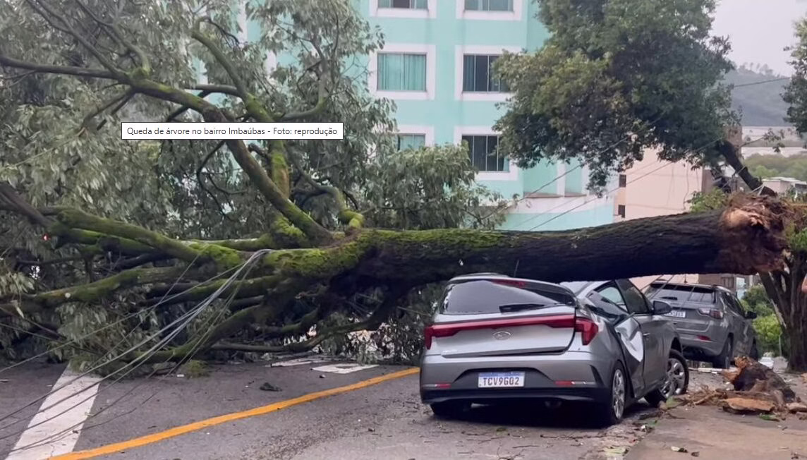 Forte Ventania Causa Transtornos em Ipatinga