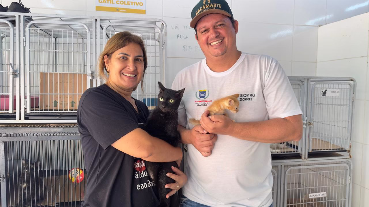 Ipatinga busca lares para animais resgatados em áreas de risco