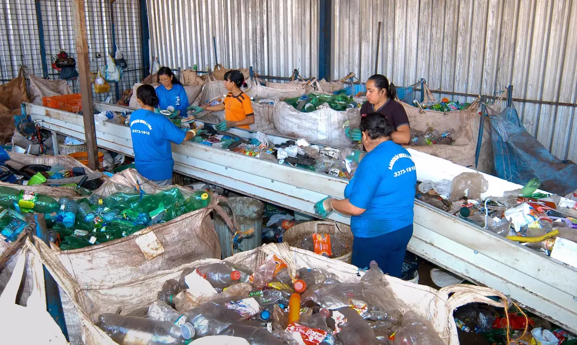 Em dois anos, país aumenta reciclagem de embalagens PET em 14%