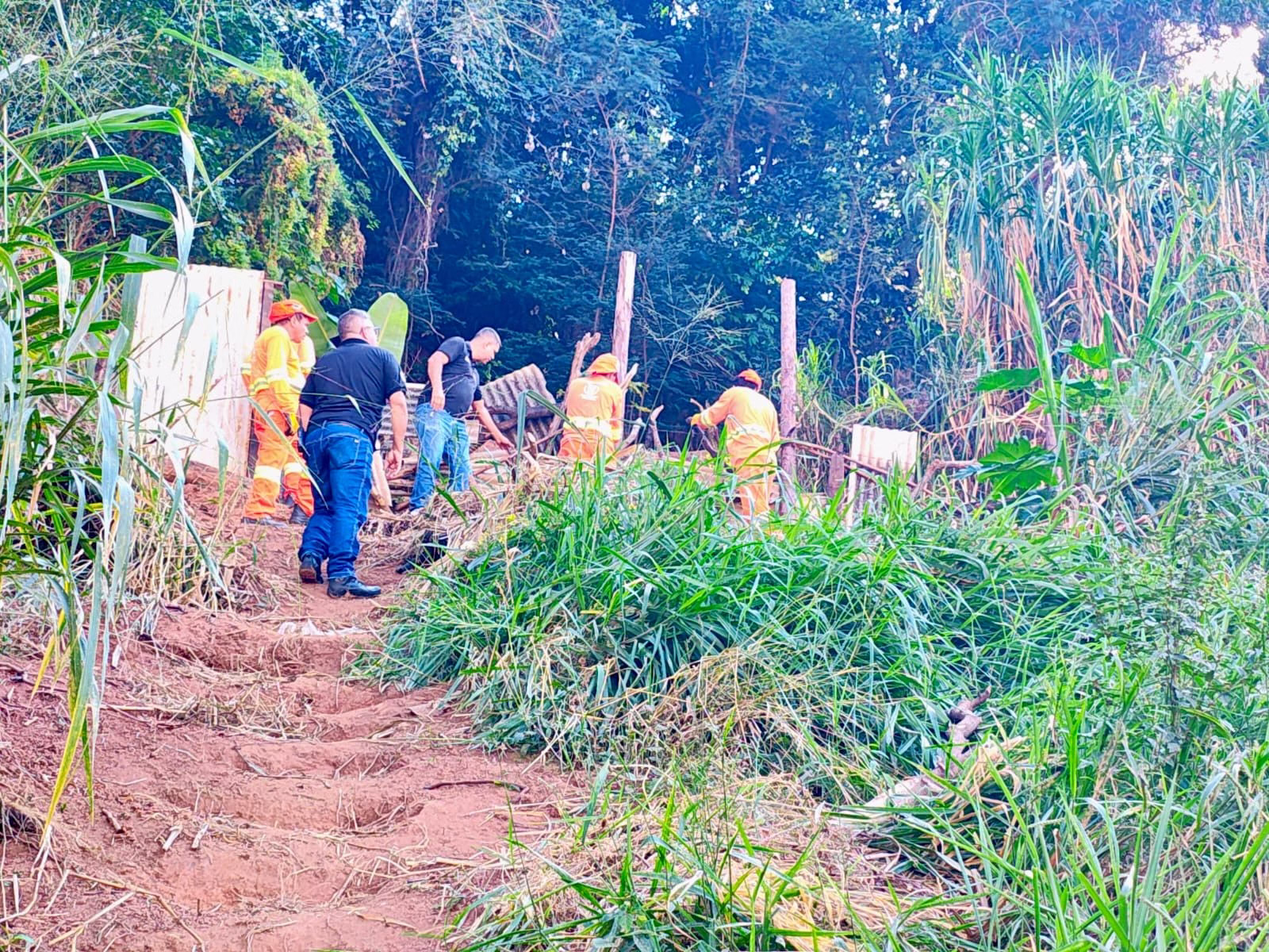 Prefeitura de Ipatinga realiza operação para remoção de estrutura irregular em área pública no bairro Nova Esperança