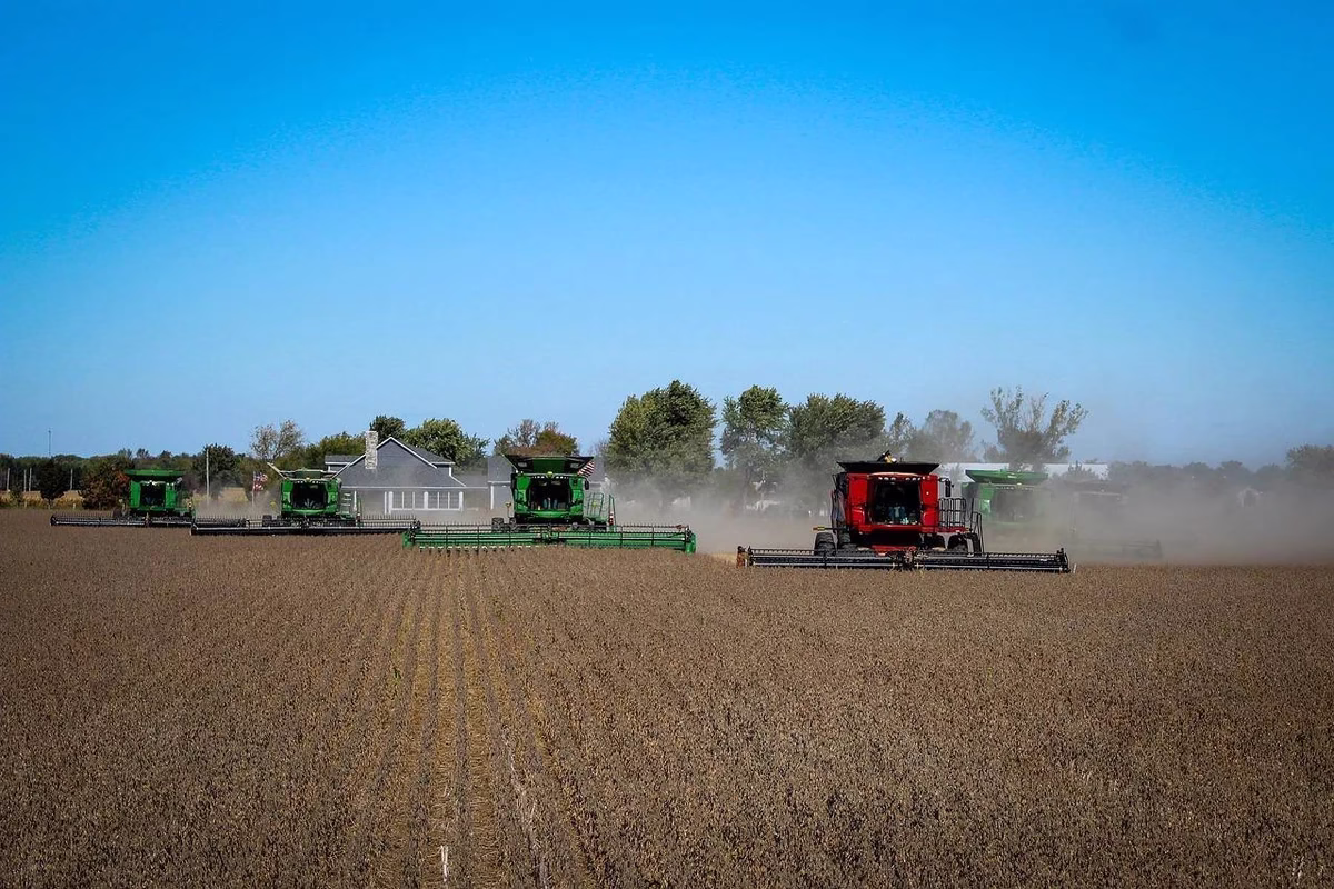Agro sofre com juros altos e clima e pedidos de recuperação judicial disparam no setor