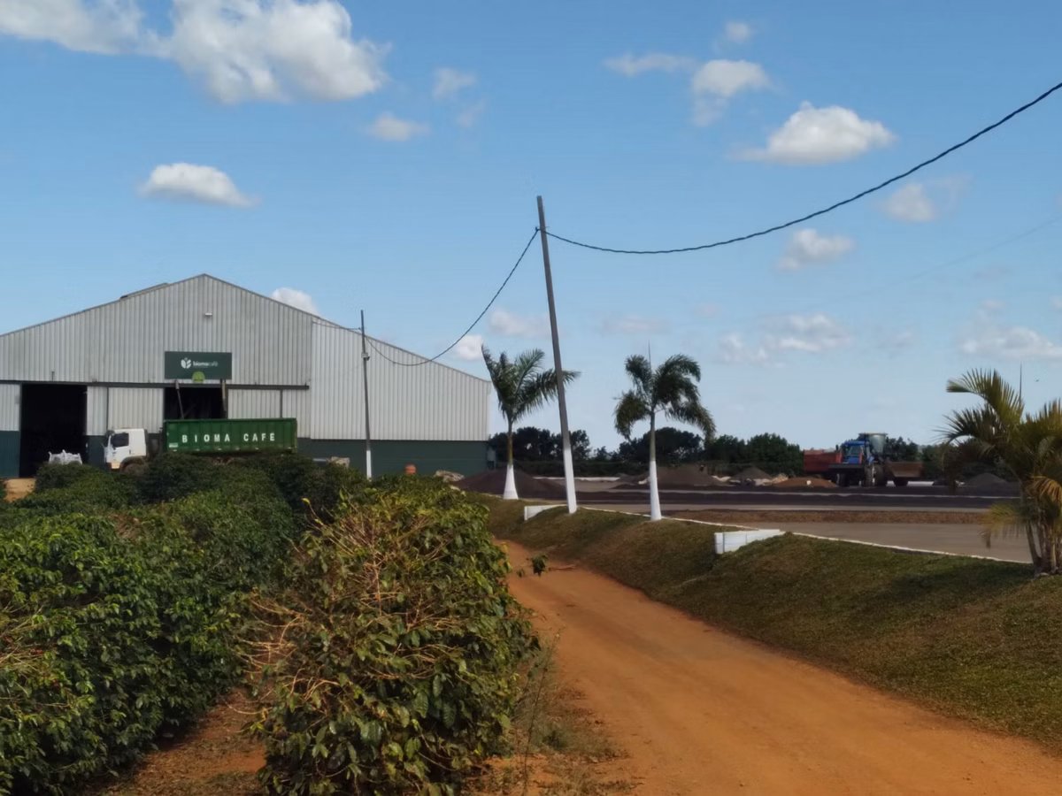Alta qualidade que começa no campo e segue até a xícara