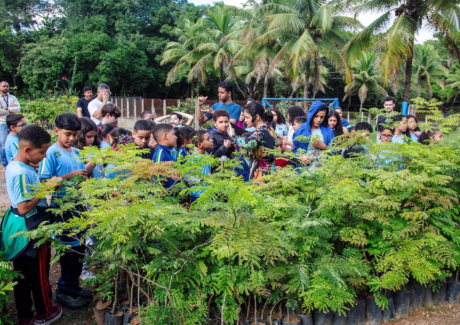 Instituto Usiminas promove programações gratuitas para a comunidade em setembro