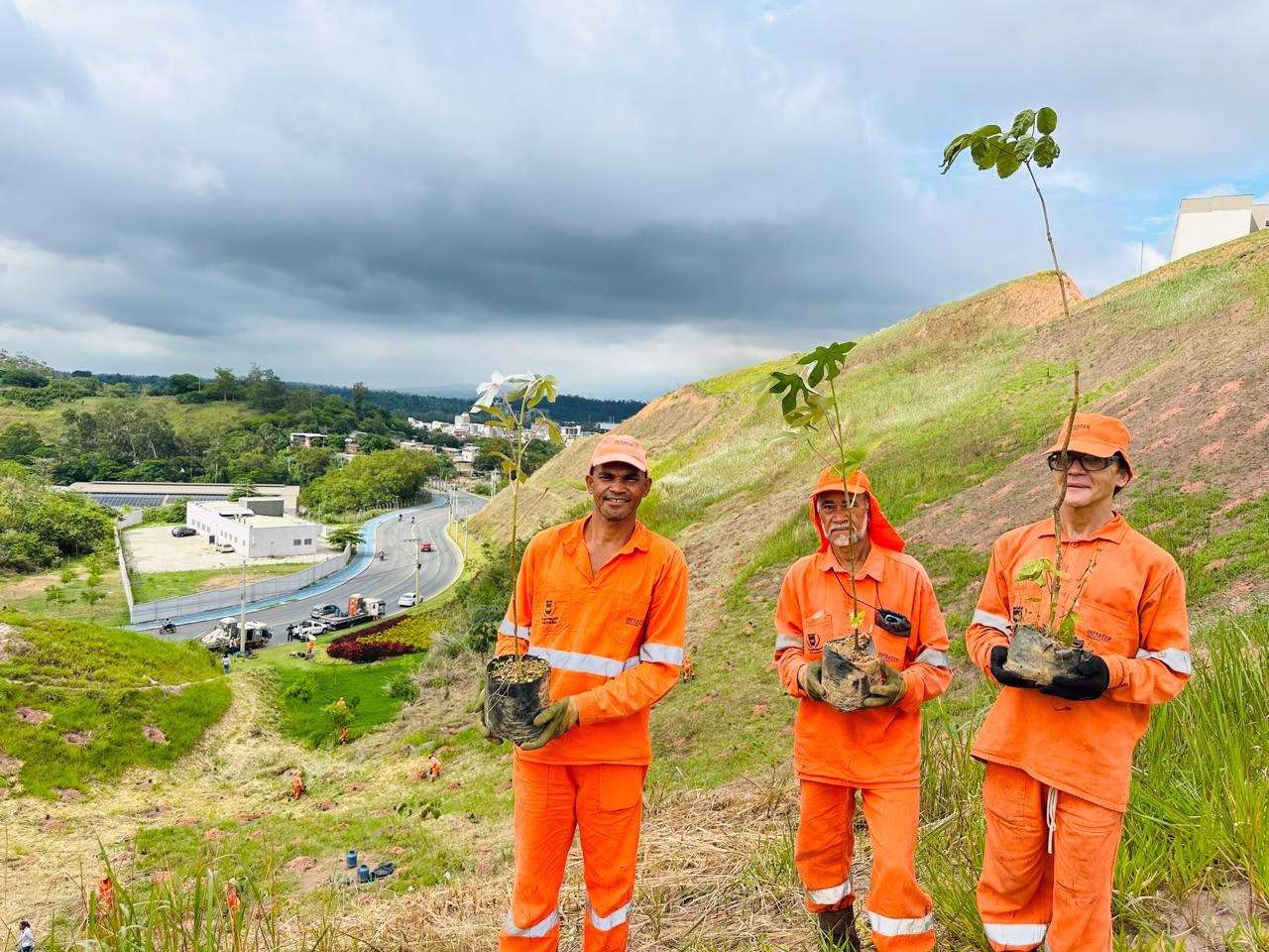 Prefeitura realiza reflorestamento em área verde na divisa entre Ipatinga e Santana do Paraíso
