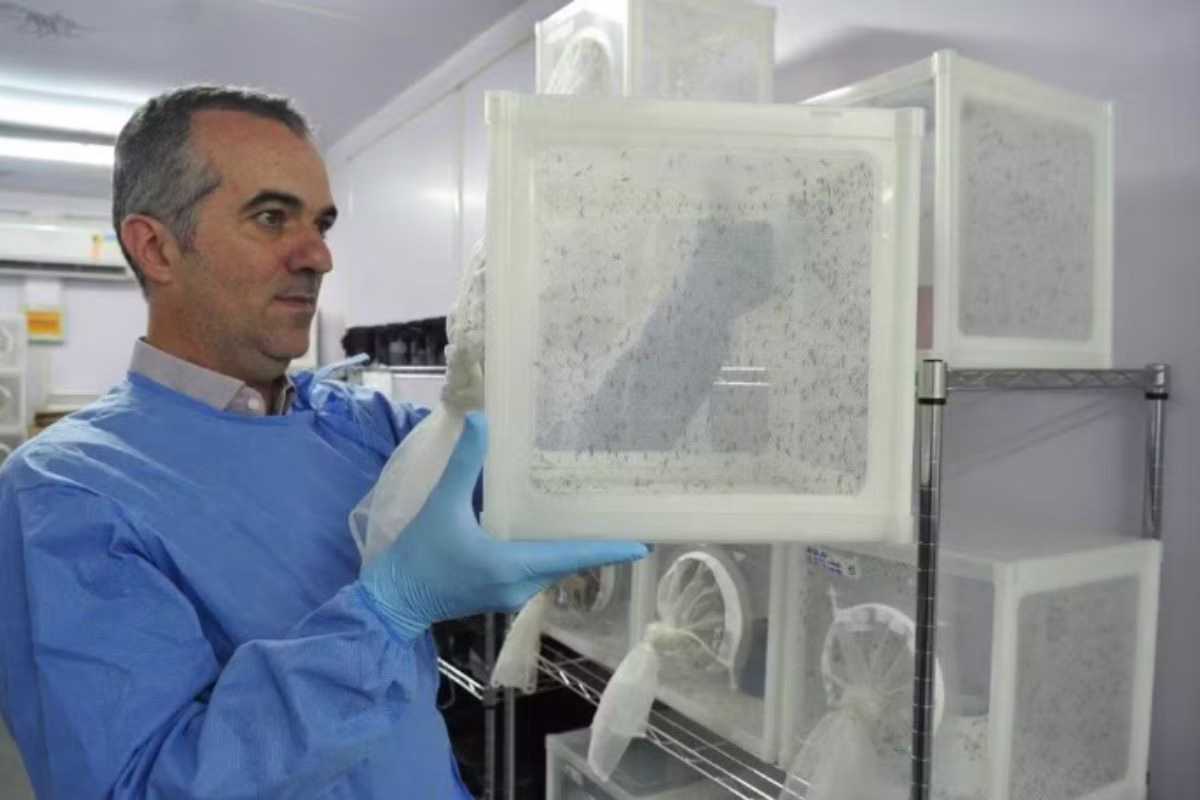 Luciano Moreira: brasileiro que ajuda no combate à dengue é um dos principais cientistas do ano