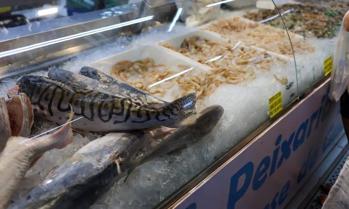 Vigilância Sanitária orienta sobre compra de pescado na Semana Santa